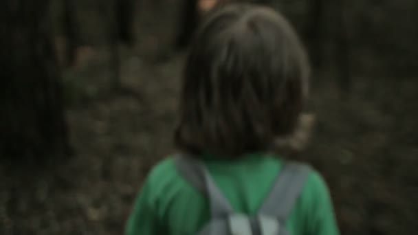 Pojke promenad genom skogen — Stockvideo