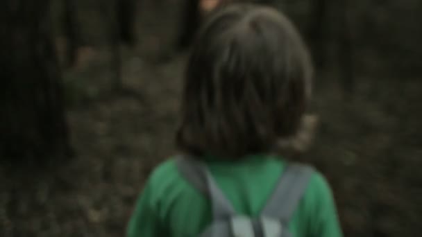 NIÑO CAMINANDO POR EL BOSQUE — Vídeos de Stock