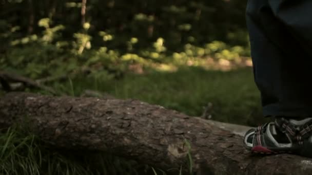 Junge läuft durch den Baumstamm — Stockvideo