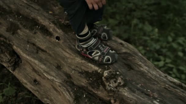 PIEDS SUR LE LOG — Video