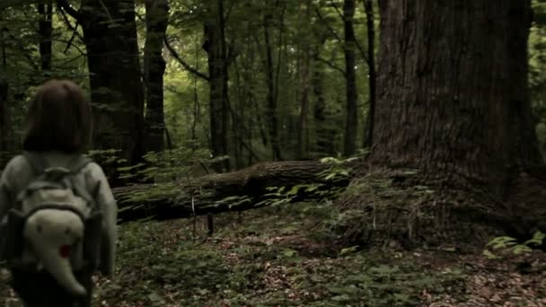 Garoto andando na floresta — Vídeo de Stock