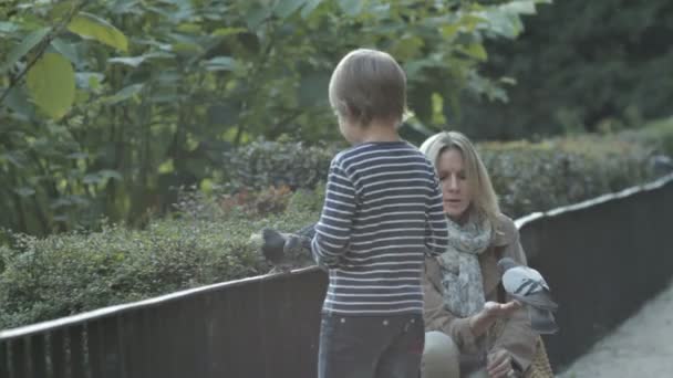 CHICO Y GRANDMA EN EL PARQUE — Vídeos de Stock