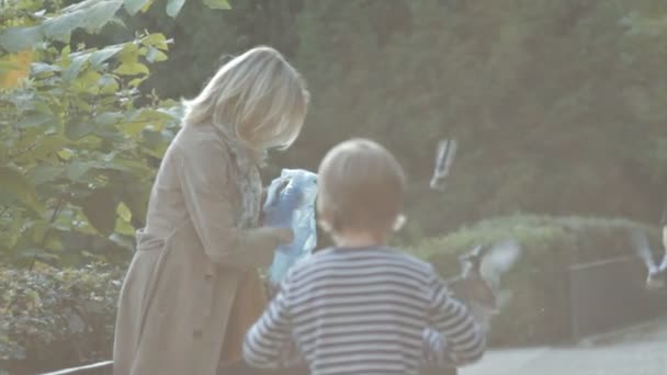 CHICO Y GRANDMA EN EL PARQUE — Vídeos de Stock