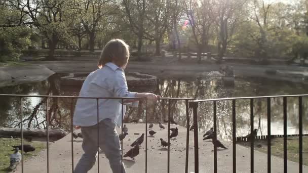 Niño en el parque de la ciudad — Vídeo de stock