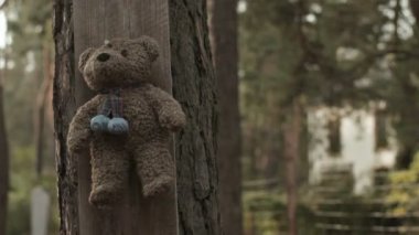 Peluş ayı ağaca çivilenmiş