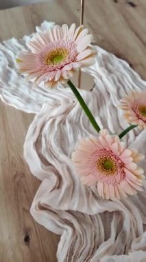 Soluk Gerbera 'nın üst-alt yatay bileşimi yumuşak, buruşuk ahşap kumaştan kaynaklanır. Dengelenmiş negatif alan ve sessiz palet yaşam tarzı markaları ve editoryal düzenler için rahatlatıcı görüntüler oluşturur