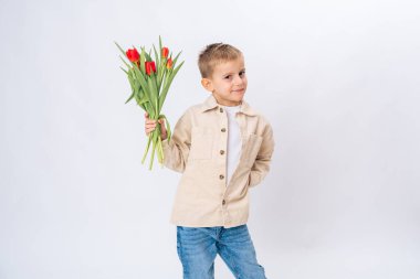 Kırmızı laleler tutan ve beyaz arka plana bakan küçük çocuk. Bahar havası, aşk, nazik çocukluk portresi.