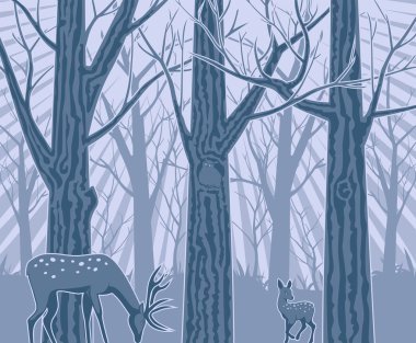 Gece derin ormanın içinde