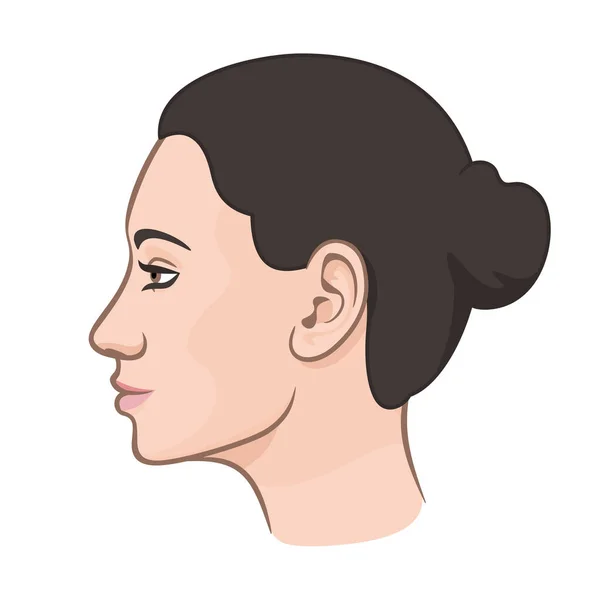 Perfil feminino menina limpo fresco pele vetor ilustração —  Vetores de Stock