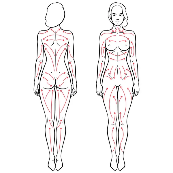 Lymfdränage torr borstning massage linjer vektor illustration — Stock vektor