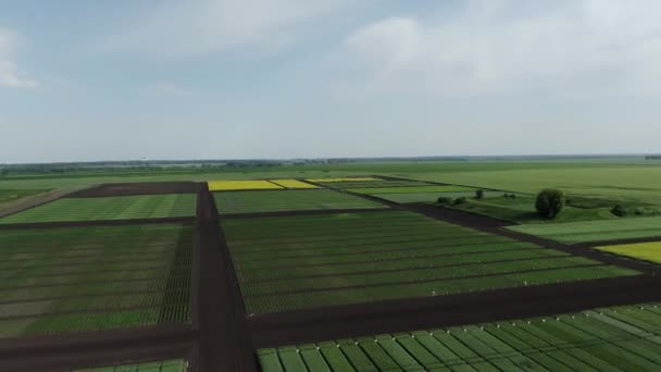 Aerial pan over beautiful plots of plants. Exhibition agrocenter — Stock Video