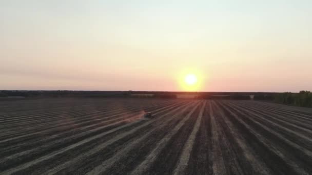 Aereo Vista dall'alto, piante trattore grano primaverile al tramonto, semina colture invernali, Autunno, Russia — Video Stock