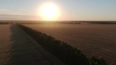 Sahanın üstündeki güneşli arka plandaki uçuş. Quadcopter atışı. Gün batımında buğday tarlası