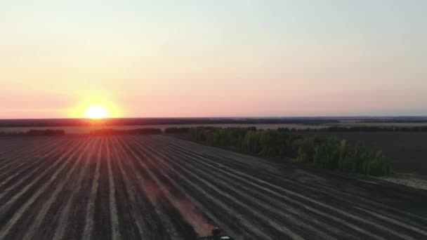 Letecký pohled shora, traktorové rostliny jarní pšenice při západu slunce, setí zimních plodin, podzim, Rusko — Stock video