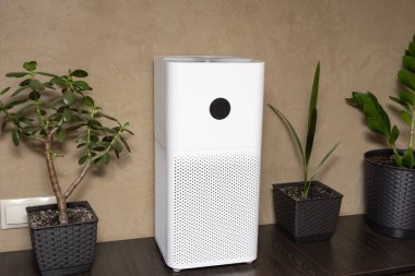 Beyaz bir iç mekan hava temizleyicisinin yakın çekimi. Evde toz ve alerji temizleyicisi var..