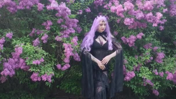森林里有紫色头发，开紫丁香花的地方. — 图库视频影像