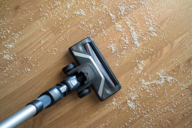 Süpürge kafası dağınık ahşap zemini dağınık pirinçle temizliyor.