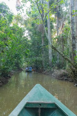 Orman sularında süzülen ahşap bir kanonun ucu ağaçlardan süzülen güneş ışığı gibi. Yazı işleri ve seyahat kampanyaları için düşey çerçeve ideal