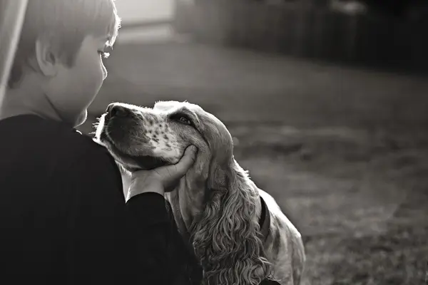 可爱小男孩和可爱的小狗 — 图库照片