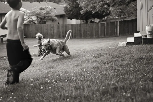 Little boys playing with dog — Stock Photo, Image