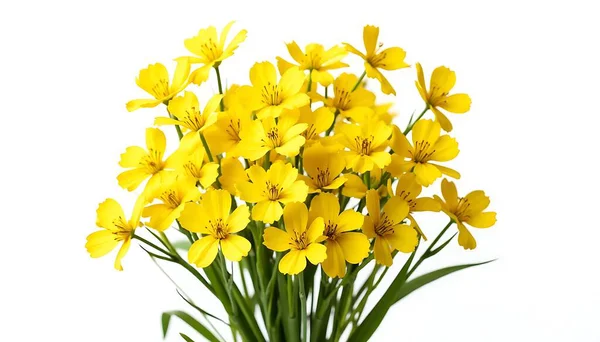 Çiçek tasarımı ve bahar pazarlama malzemeleri için mükemmel bir tazelik ve neşe içeren yeşil saplı ve yapraklı canlı bir buket..