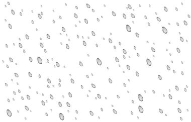 Yağmur damlaları beyaz zeminde izole edilmiş. Sağanak. Gerçekçi bir şelale. Vektör dokusu.