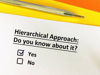 Bir kişi yaklaşımlarla ilgili soruya cevap veriyor. Bu kişi hiyerarşik yaklaşımı biliyor..