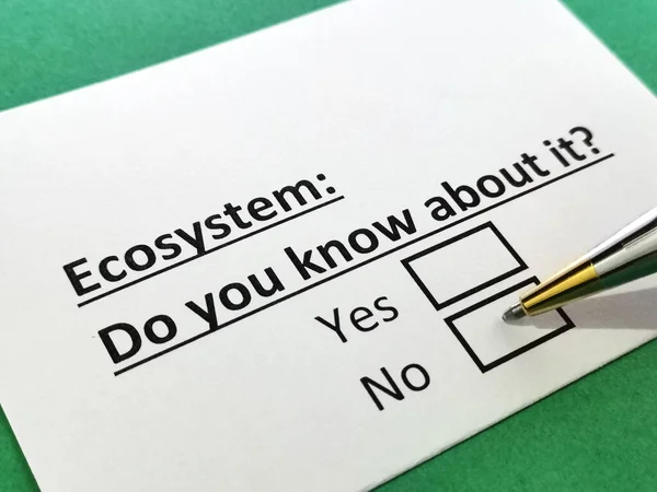 Eine Person Beantwortet Fragen Zum Ökosystem — Stockfoto
