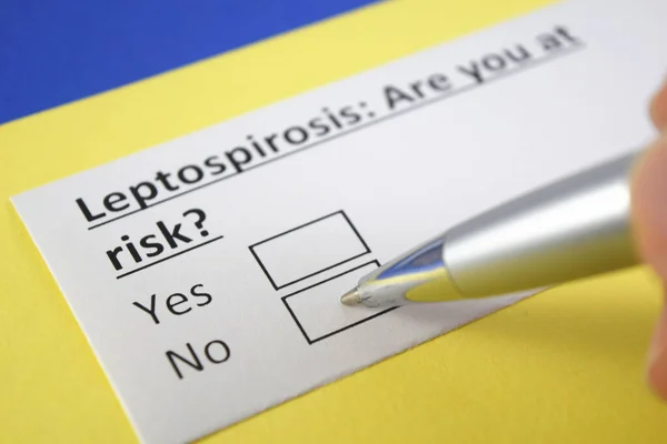 Una Persona Está Respondiendo Pregunta Sobre Leptospirosis — Foto de Stock