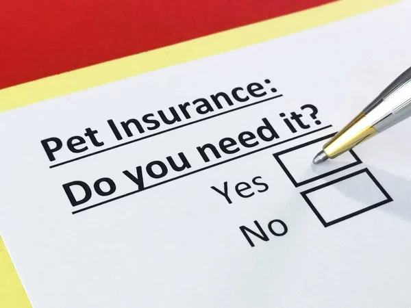 One Person Answering Question Pet Insurance — Stock Photo, Image