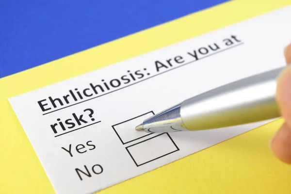 Una Persona Está Respondiendo Pregunta Sobre Ehrilichiosis —  Fotos de Stock