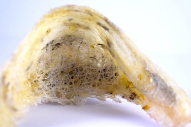 Arka plan olarak kuş yuvası. Kuş yuvası işindeki yatırımlar için kullanılabilir..