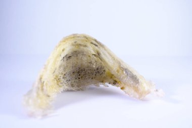 Arka plan olarak kuş yuvası. Kuş yuvası işindeki yatırımlar için kullanılabilir..