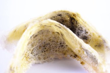 Arka plan olarak kuş yuvası. Kuş yuvası işindeki yatırımlar için kullanılabilir..