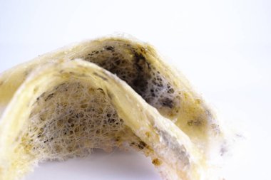 Arka plan olarak kuş yuvası. Kuş yuvası işindeki yatırımlar için kullanılabilir..