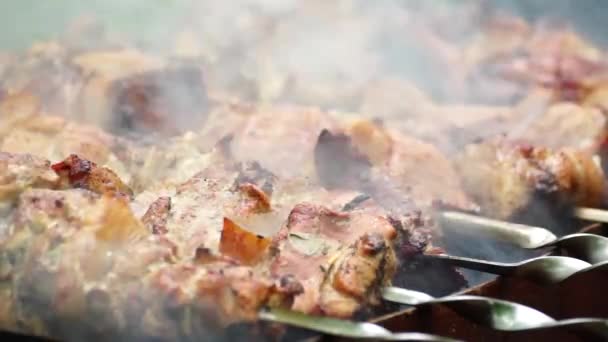 Barbecue, roasted meat on the grill in the smoke. — Stock Video