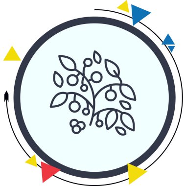 Böğürtlen bitkisinin basit grafiği