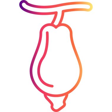 Kaju Elması Yüksek Kaliteli Ölçeklenebilir Vektör İllüstrasyonu