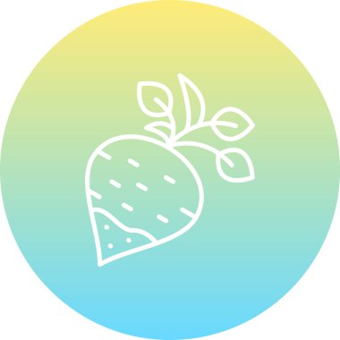 Şalgam Profesyonel Temiz Arayüz Grafik Özelliği