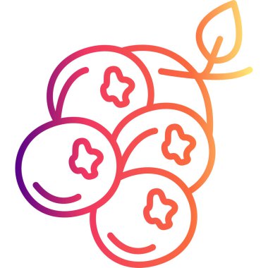 Yeşil yapraklı renkli yaban mersini