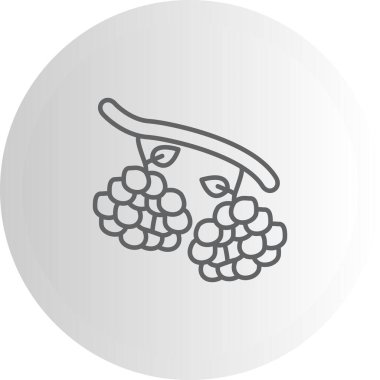 Ahududu Temizliği Profesyonel Düz Tasarım Özelliği