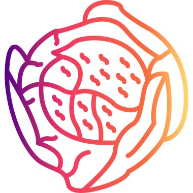 Lahana Ağı simgesinin vektör illüstrasyonu