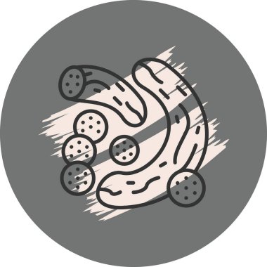 Salatalık Premium Fonksiyonel Web Tasarımı Düzeni