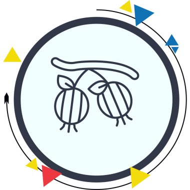 Şubede asılı iki bektaşi üzümünün uygulama simgesi