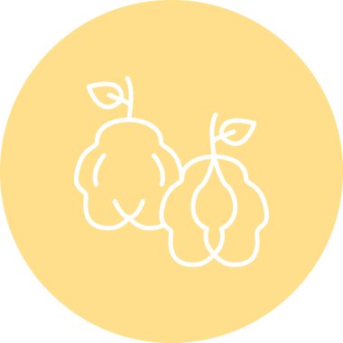 Quince ağ simgesi vektör illüstrasyonu