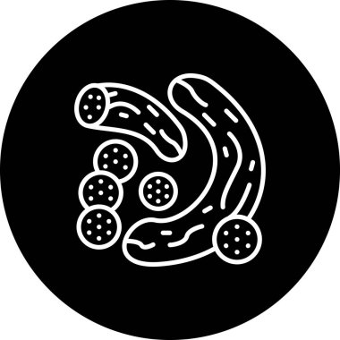 Salatalık Dengeli Kullanıcı Odaklı Yaratıcı Varlık