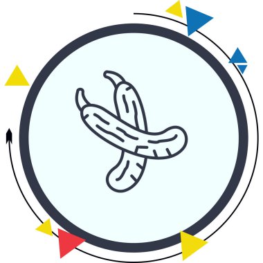 Kabak Çağdaş Yenilikçi Dijital Tasarım Varlığı