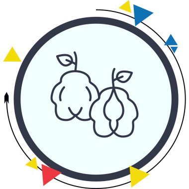 Quince ağ simgesi vektör illüstrasyonu