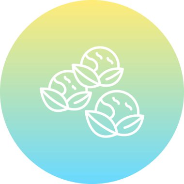 Brüksel Filizleri Zarif Dengeli Düz Sanat Özelliği