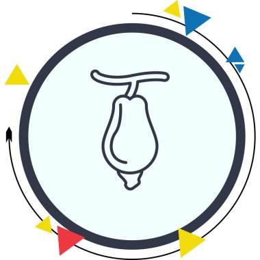 Kaju Elması Modern Soyut Yaratıcı Tasarım Varlığı